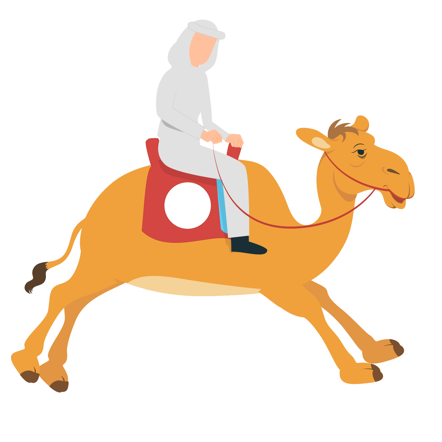 camelderby.be